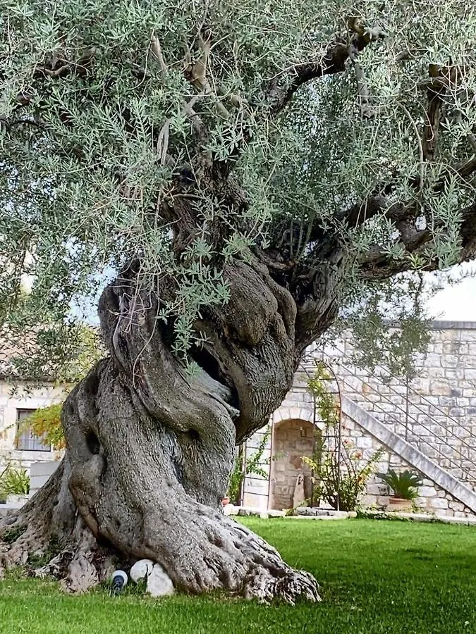 Villa Sike Modica 0*,  Italy